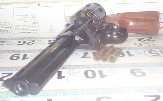 GUN005P.JPG - 118,761BYTES