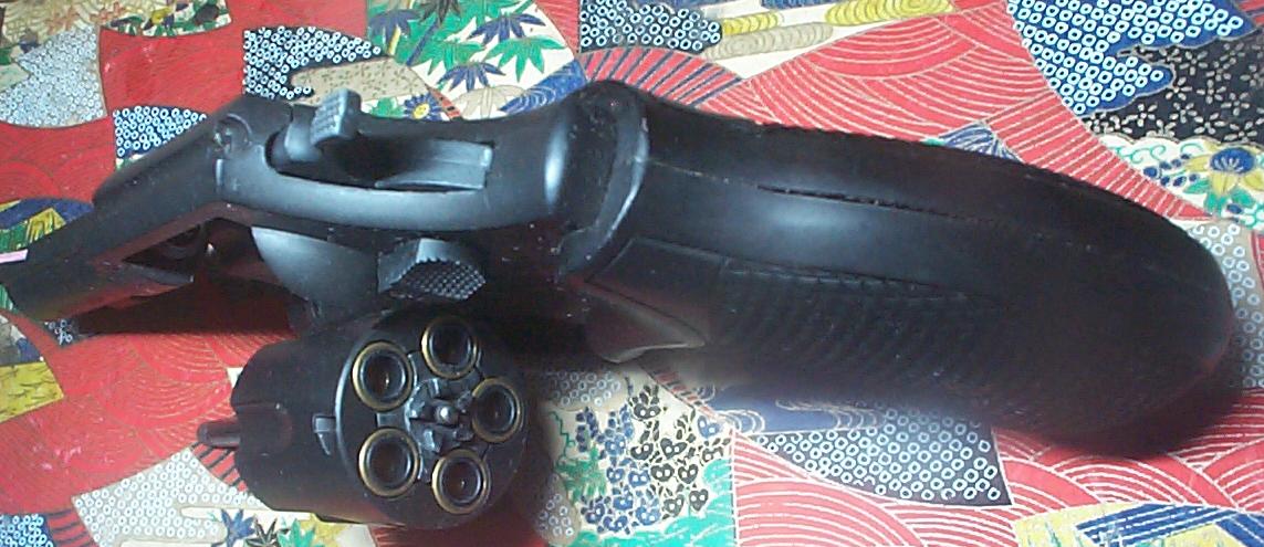 GUN007E.JPG - 111,380BYTES