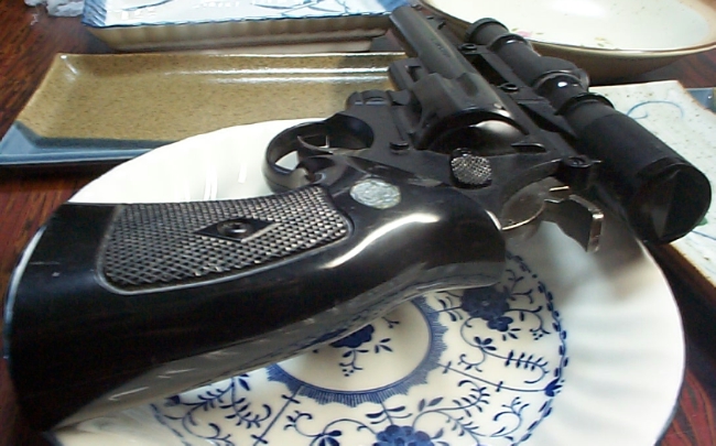 GUN405A.JPG - 215,877BYTES