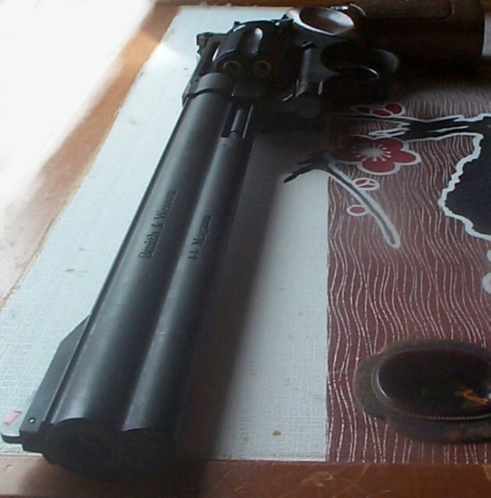 GUN615.JPG - 144,085BYTES